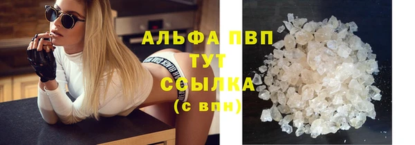 ПСИЛОЦИБИНОВЫЕ ГРИБЫ Верхний Тагил