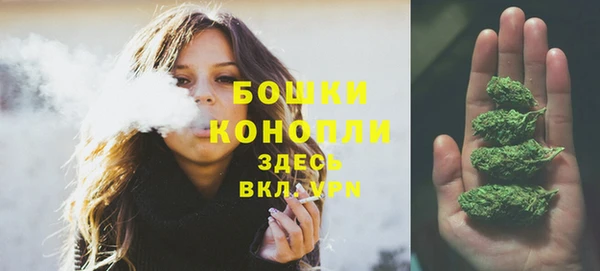 герыч Бородино