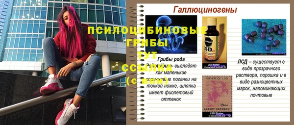стафф Бронницы