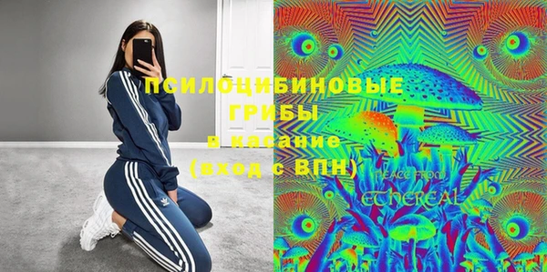ПСИЛОЦИБИНОВЫЕ ГРИБЫ Верхний Тагил