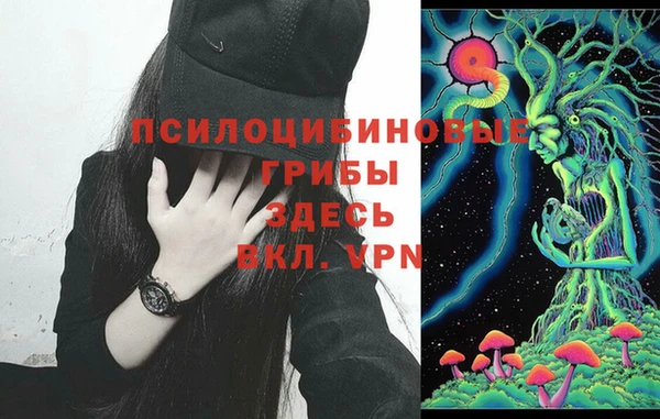 герыч Бородино